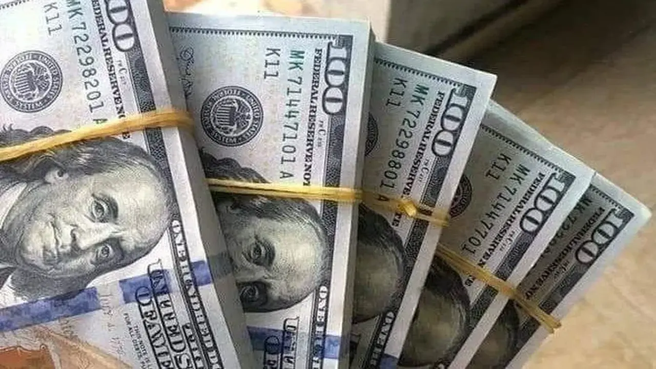 تغيرات سعر الدولار الأمريكي مقابل الجنيه المصري في تعاملات البنوك اليوم